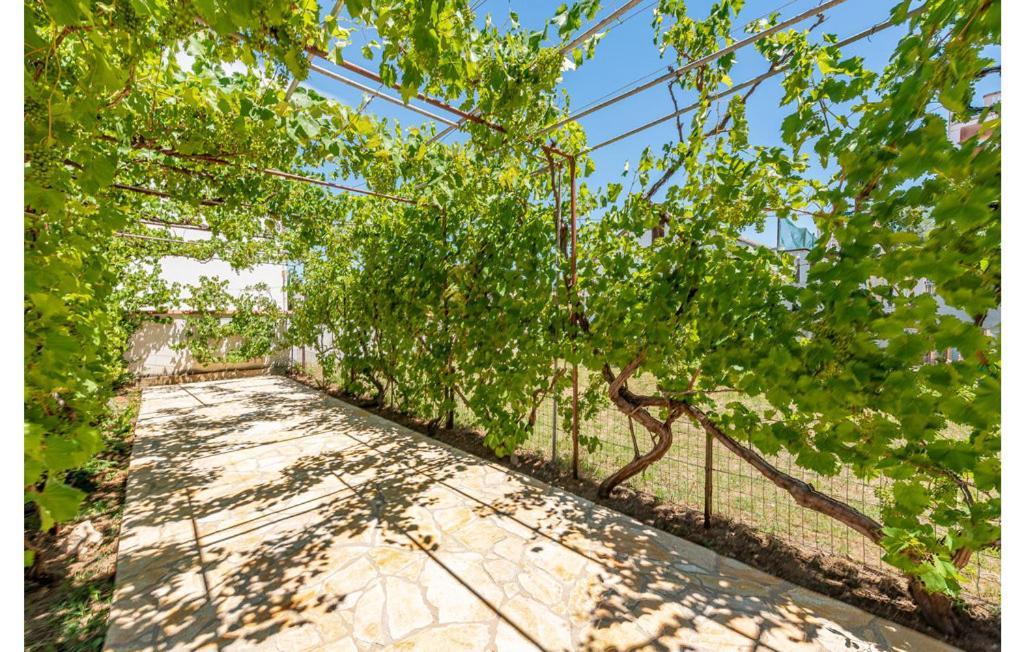 Apartment Neven Privlaka  Kültér fotó